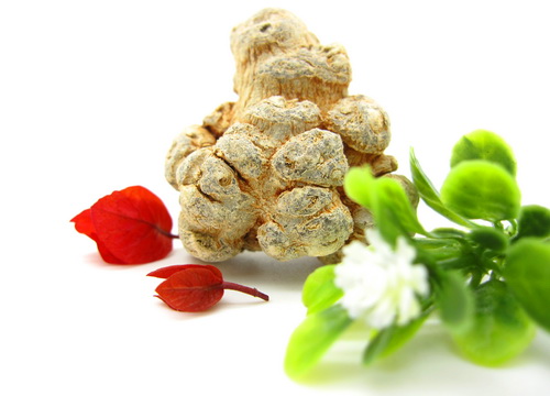 骨折可以吃三七炖汤吗