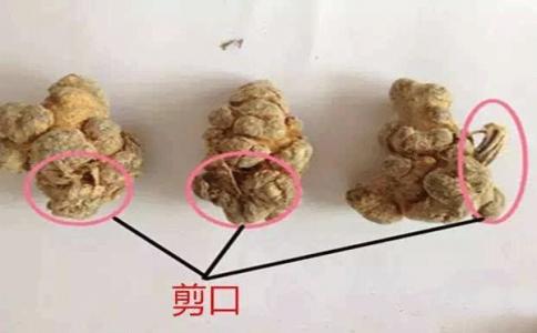 差的带剪口三七