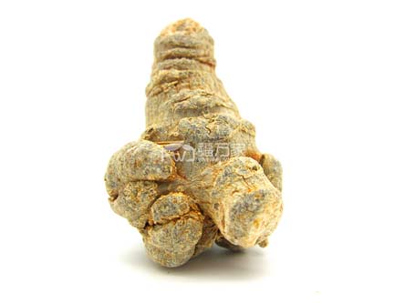 三七多少钱一斤