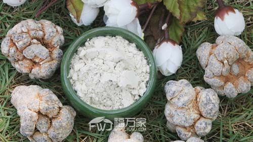 三七价格变动