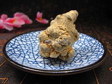 为什么春三七好