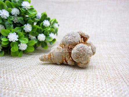 三七做菜吃吗