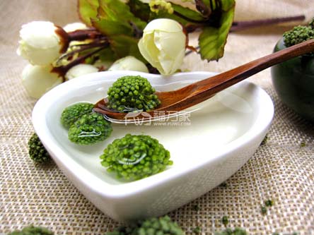 三七花效果好吗