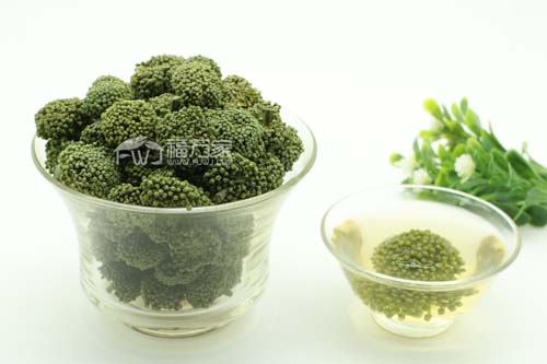 三七花储存注意什么